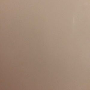 Meet your Posher, Alisha